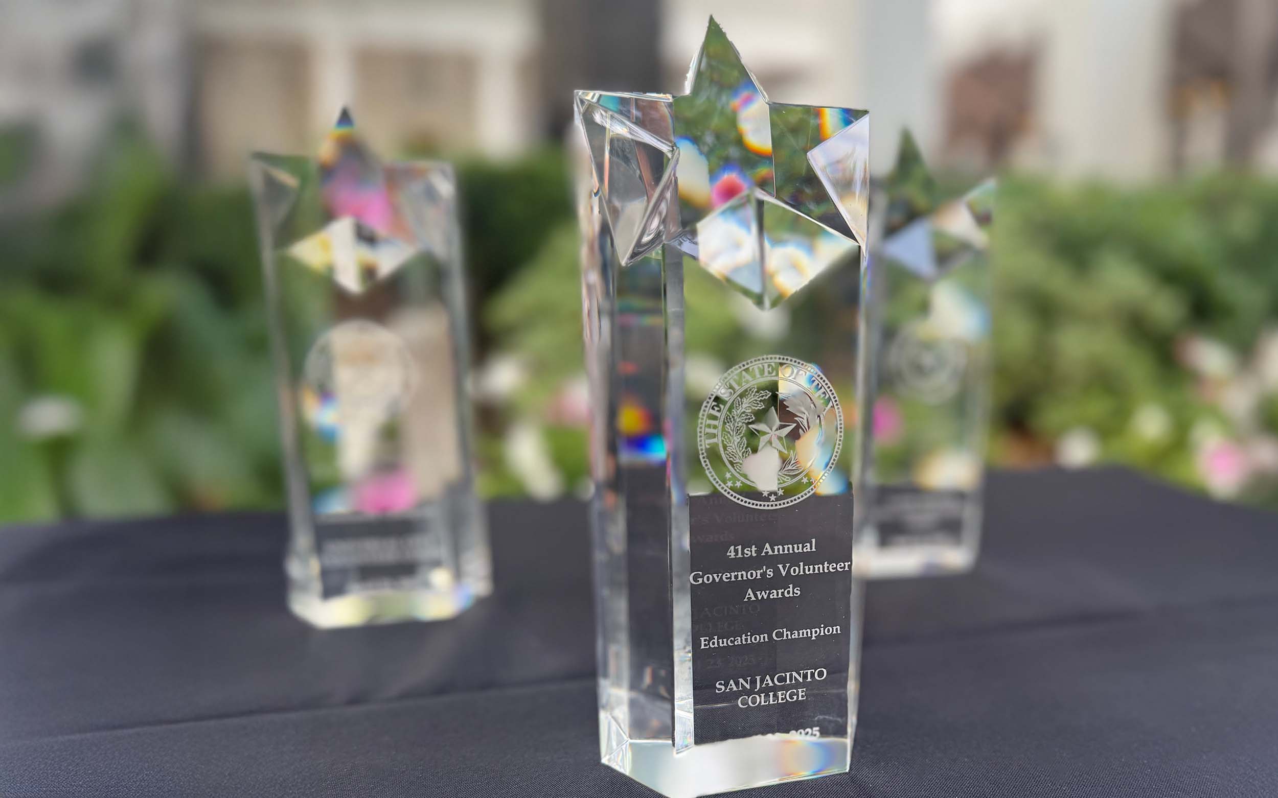 Governors Volunteer Award